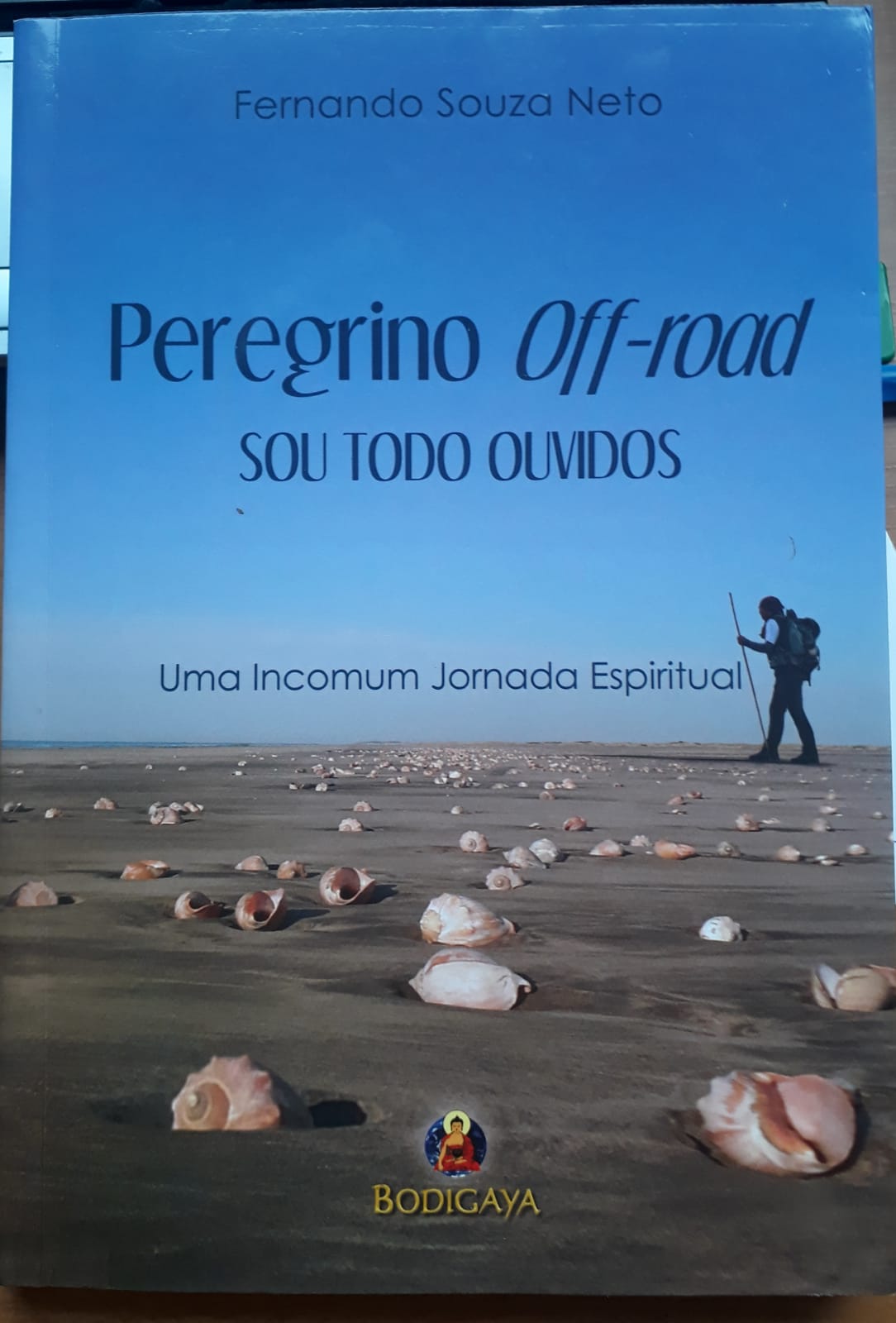 Fernando Souza Neto