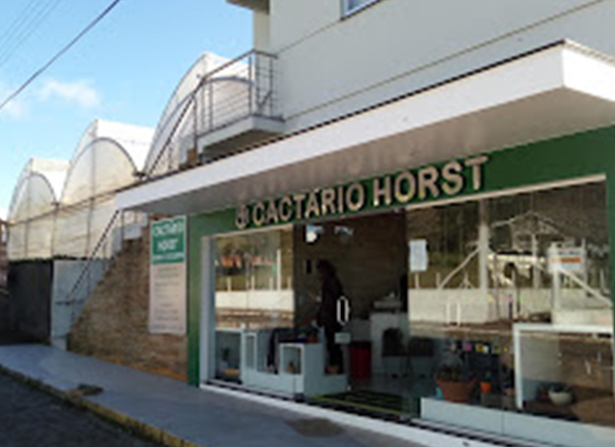 Galeria Caminhada Imigrante