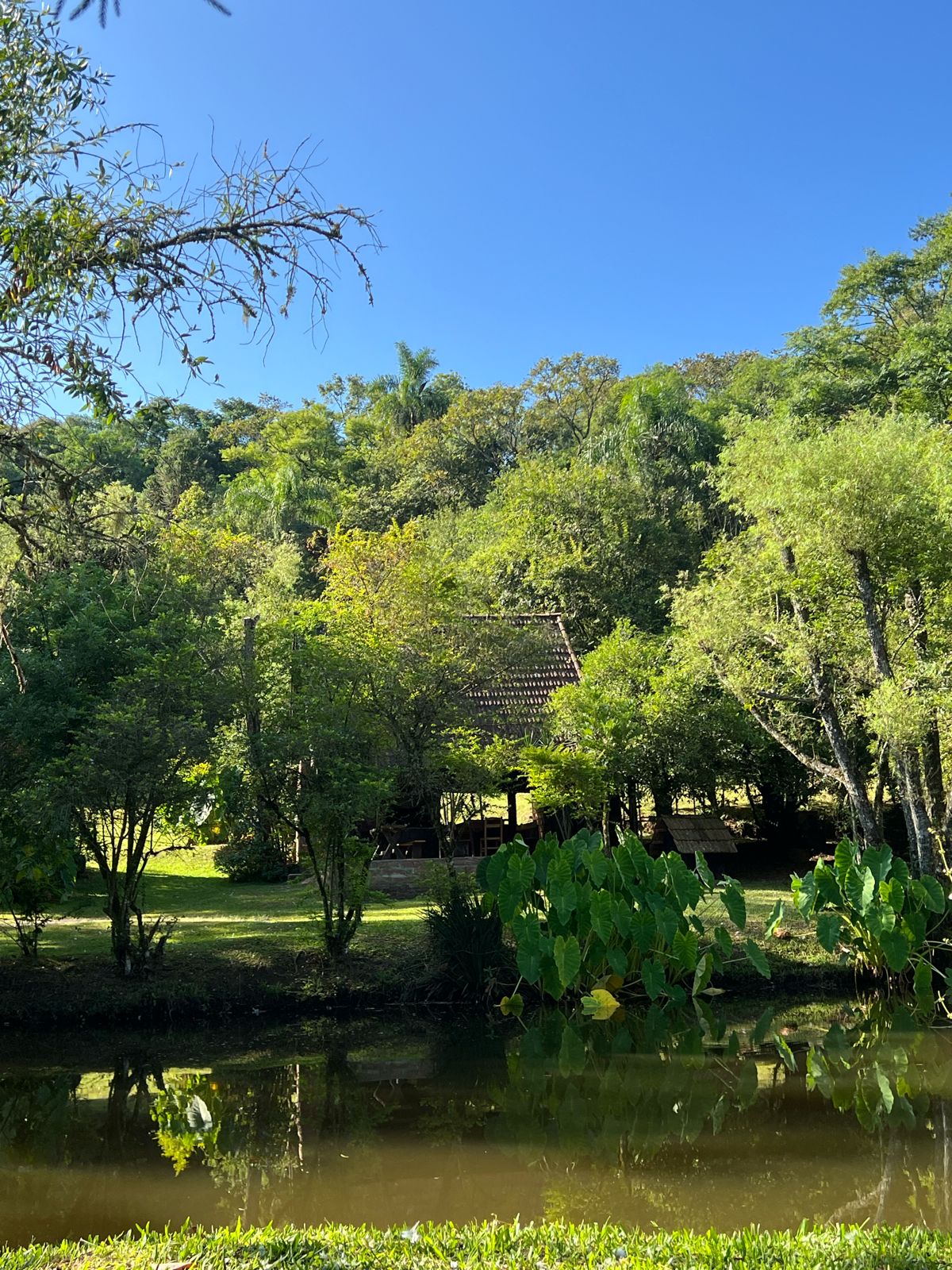 Galeria Caminhada Reencontros, Passos e Cachoeira