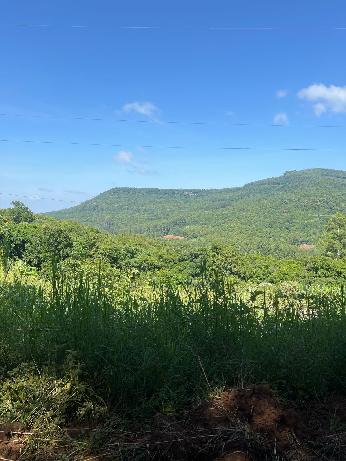 Galeria Caminhada Reencontros, Passos e Cachoeira