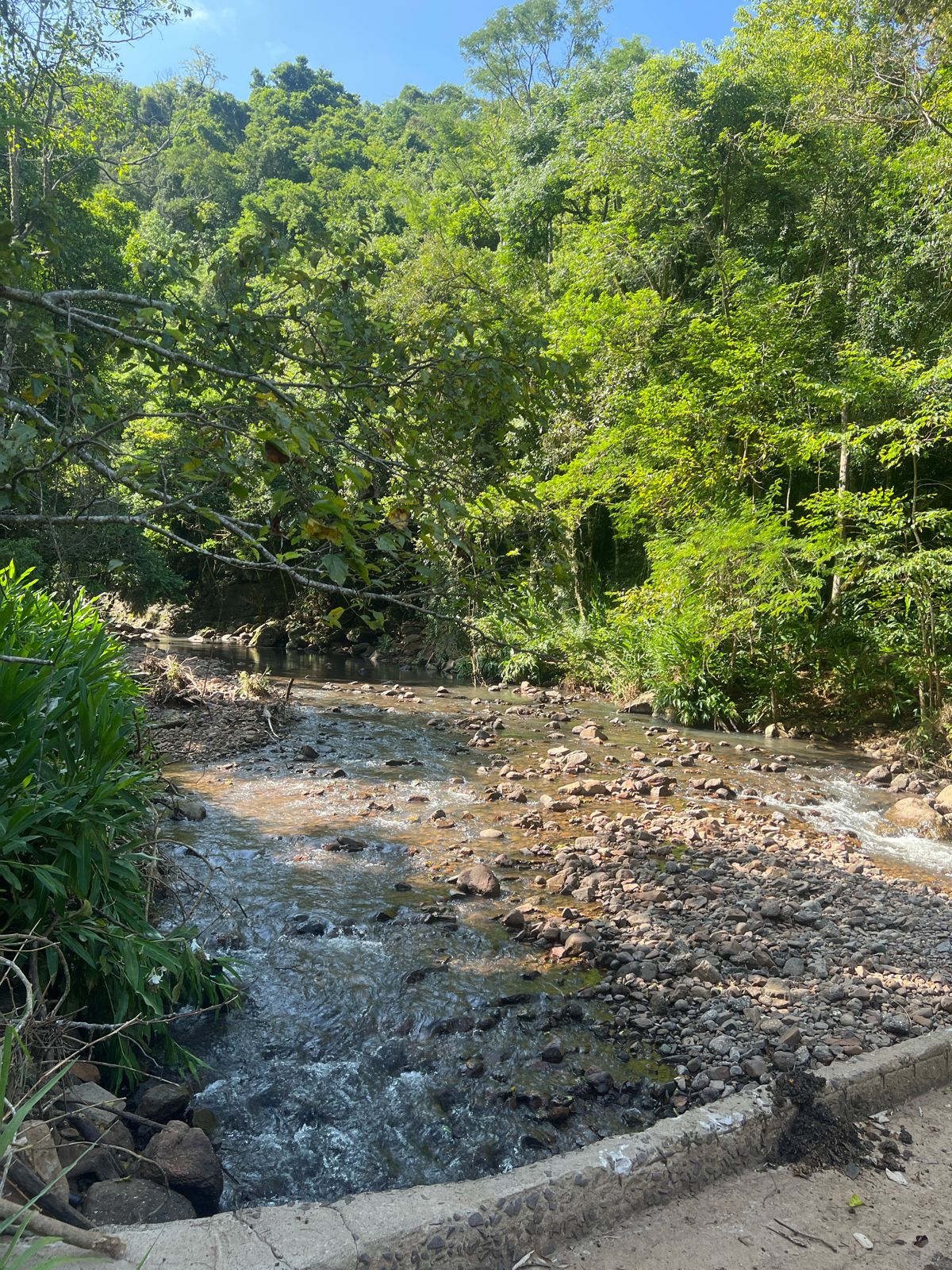 Galeria Caminhada Reencontros, Passos e Cachoeira