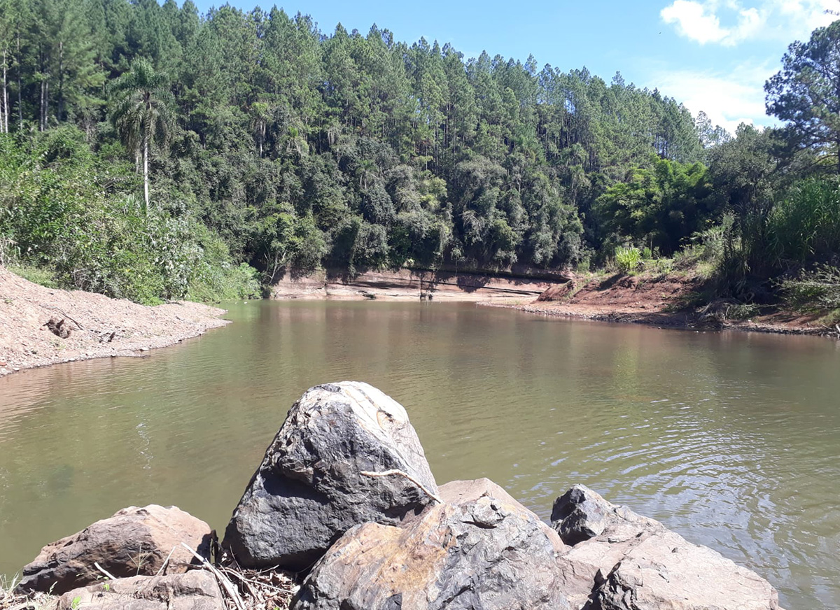 Galeria Caminhada Pinhal Alto