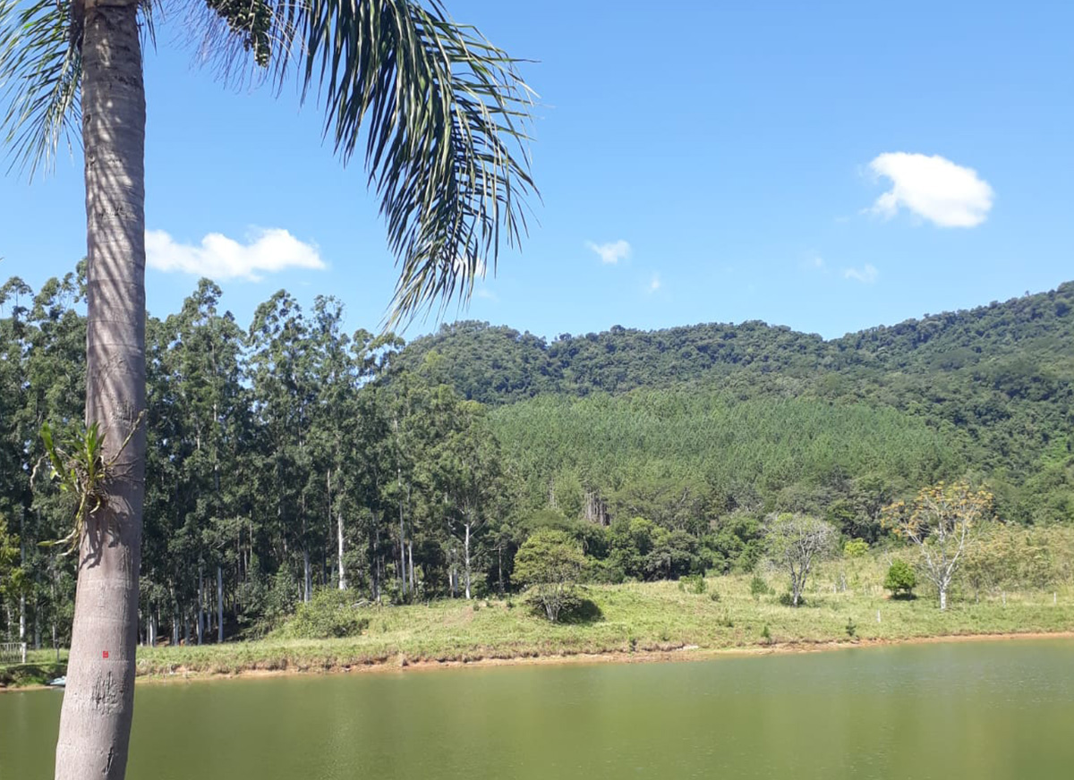 Galeria Caminhada Pinhal Alto