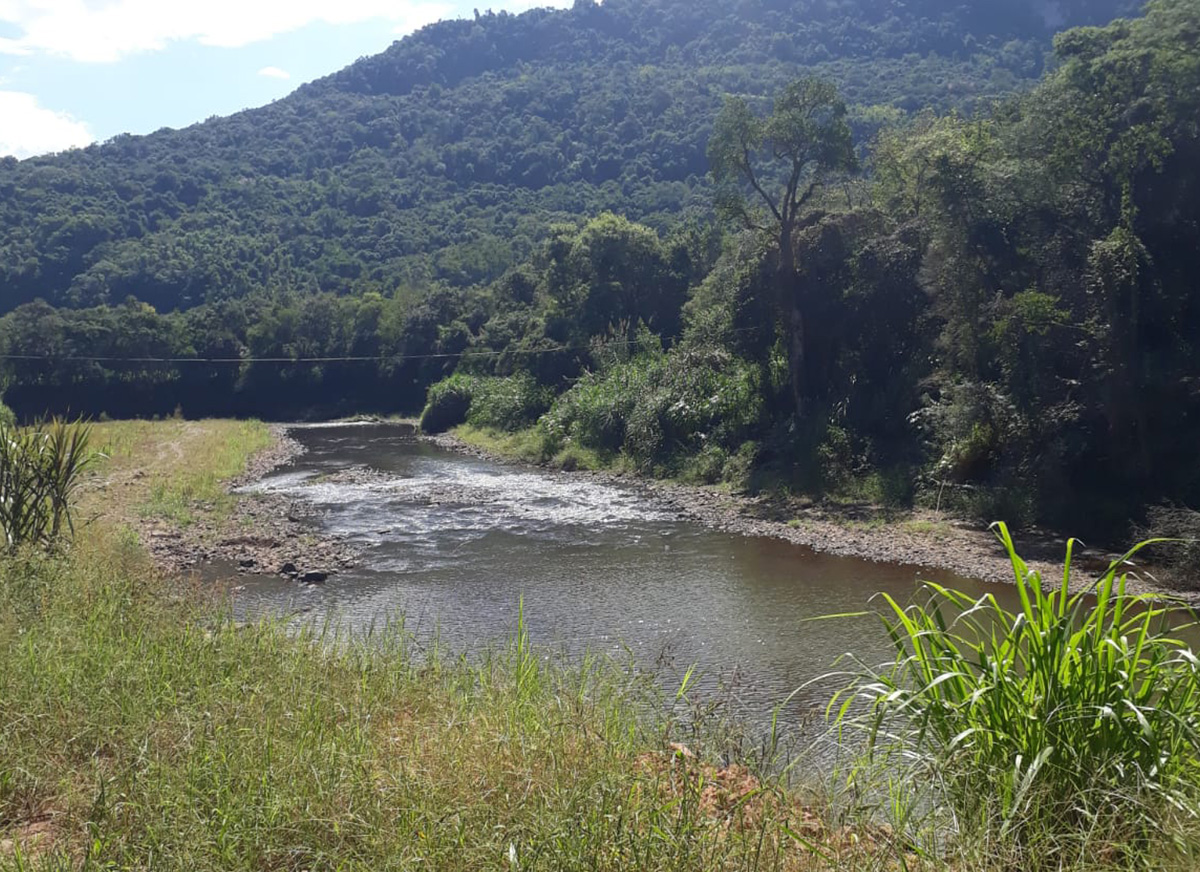 Galeria Caminhada Pinhal Alto