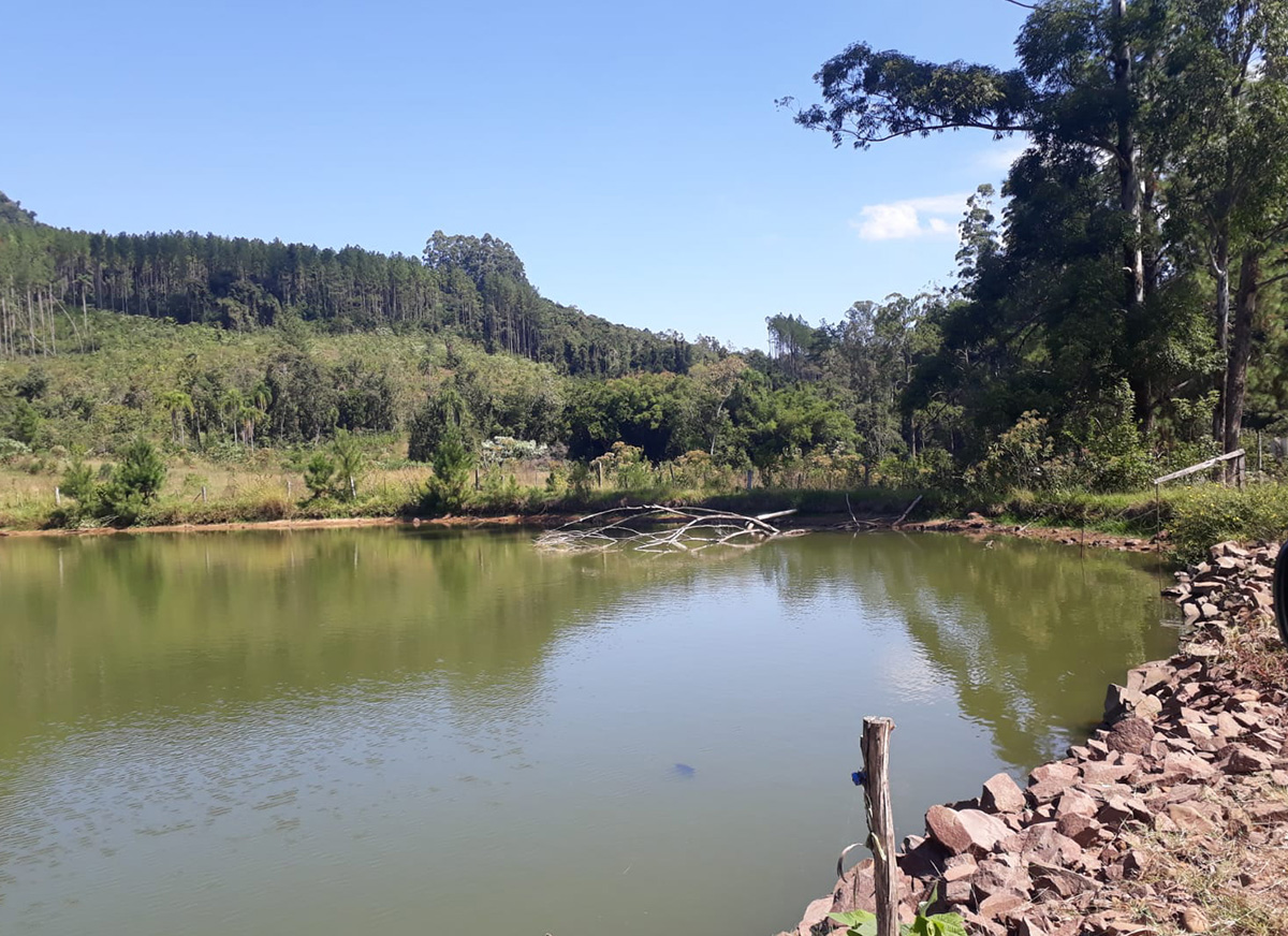 Galeria Caminhada Pinhal Alto