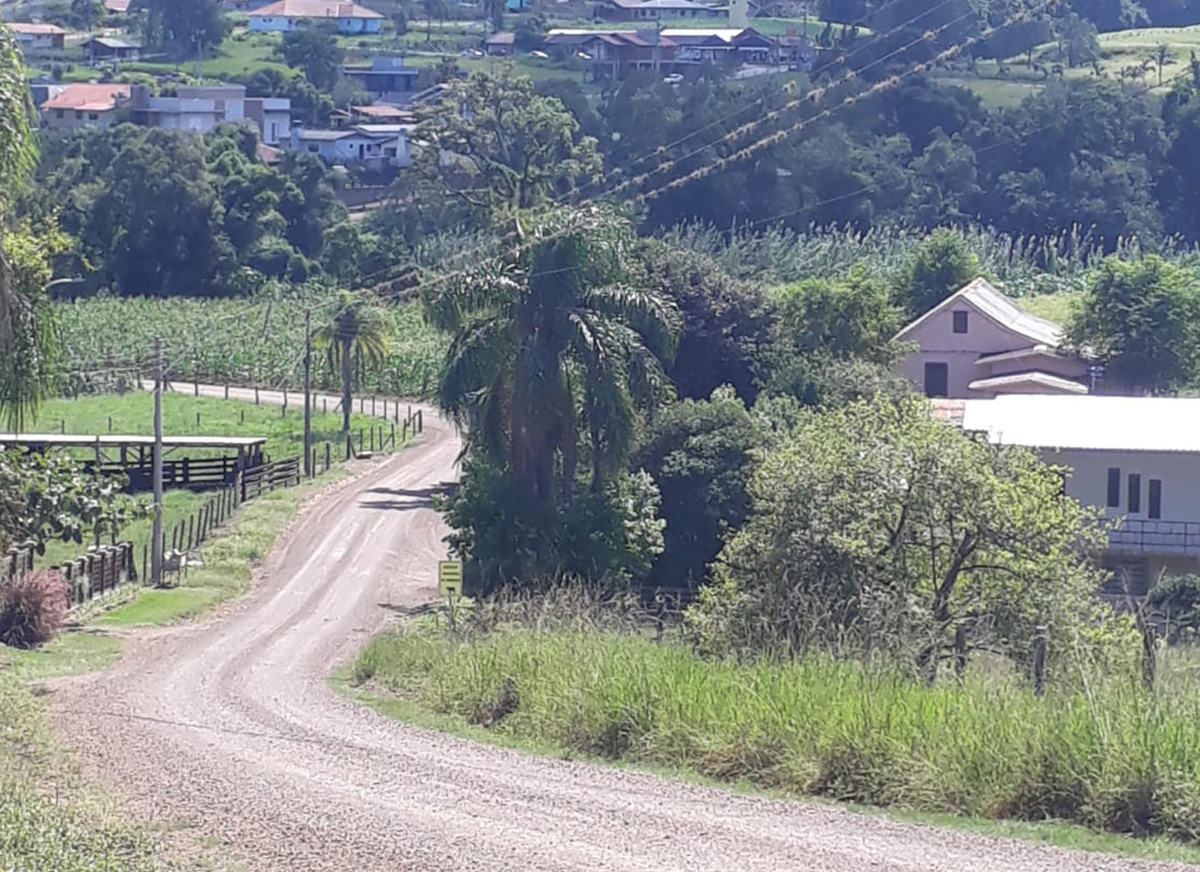 Galeria Caminhada Pinhal Alto