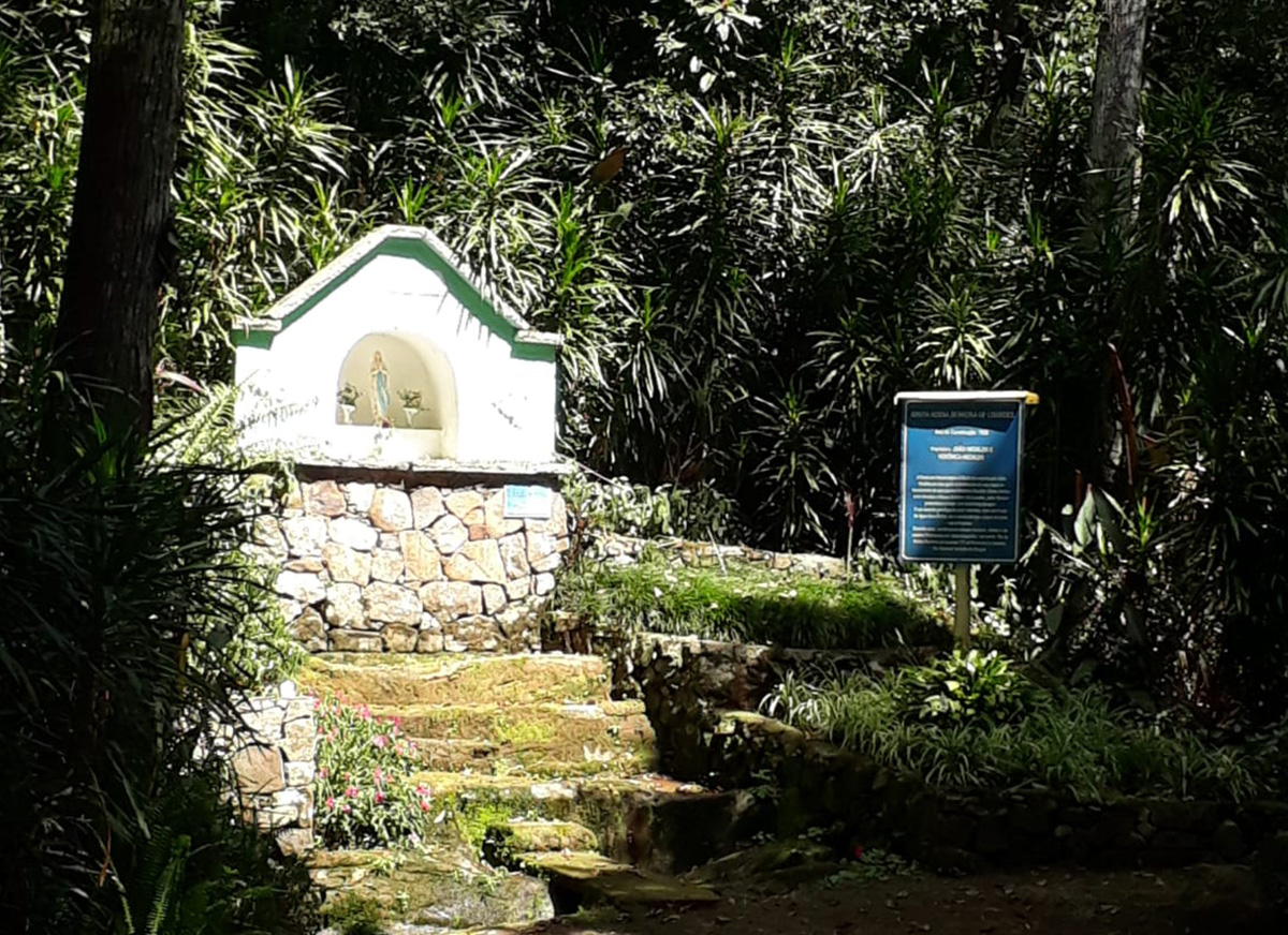 Galeria Caminhada Pinhal Alto