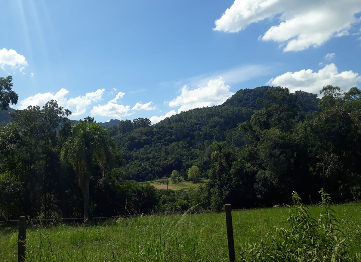 Galeria Caminhada Pinhal Alto