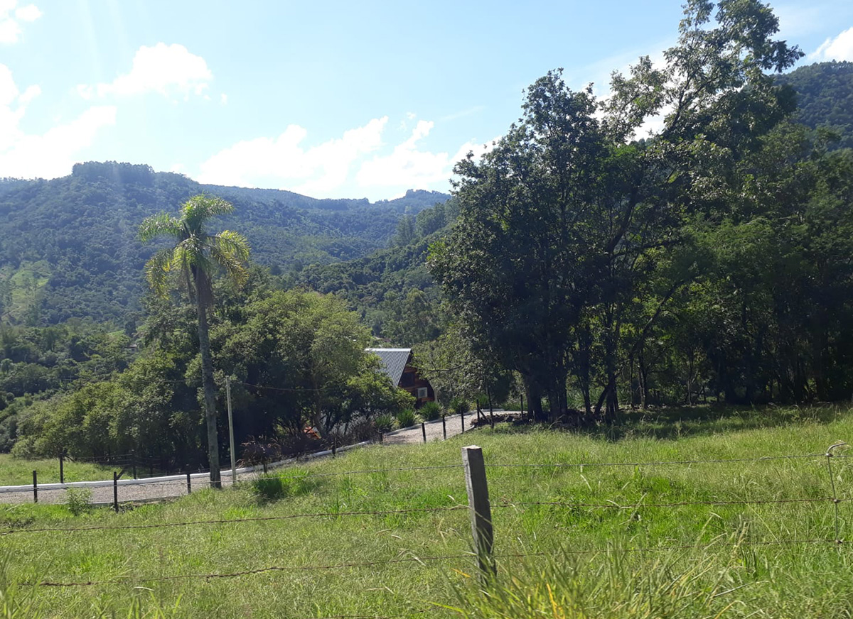 Galeria Caminhada Pinhal Alto