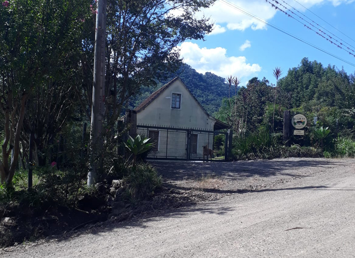 Galeria Caminhada Pinhal Alto