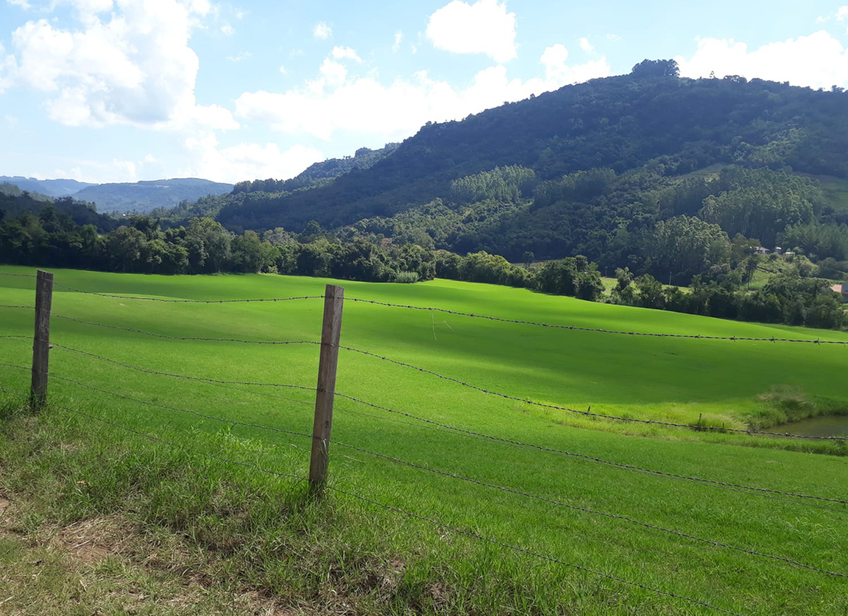 Galeria Caminhada Pinhal Alto