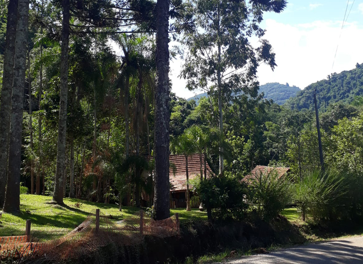 Galeria Caminhada Pinhal Alto