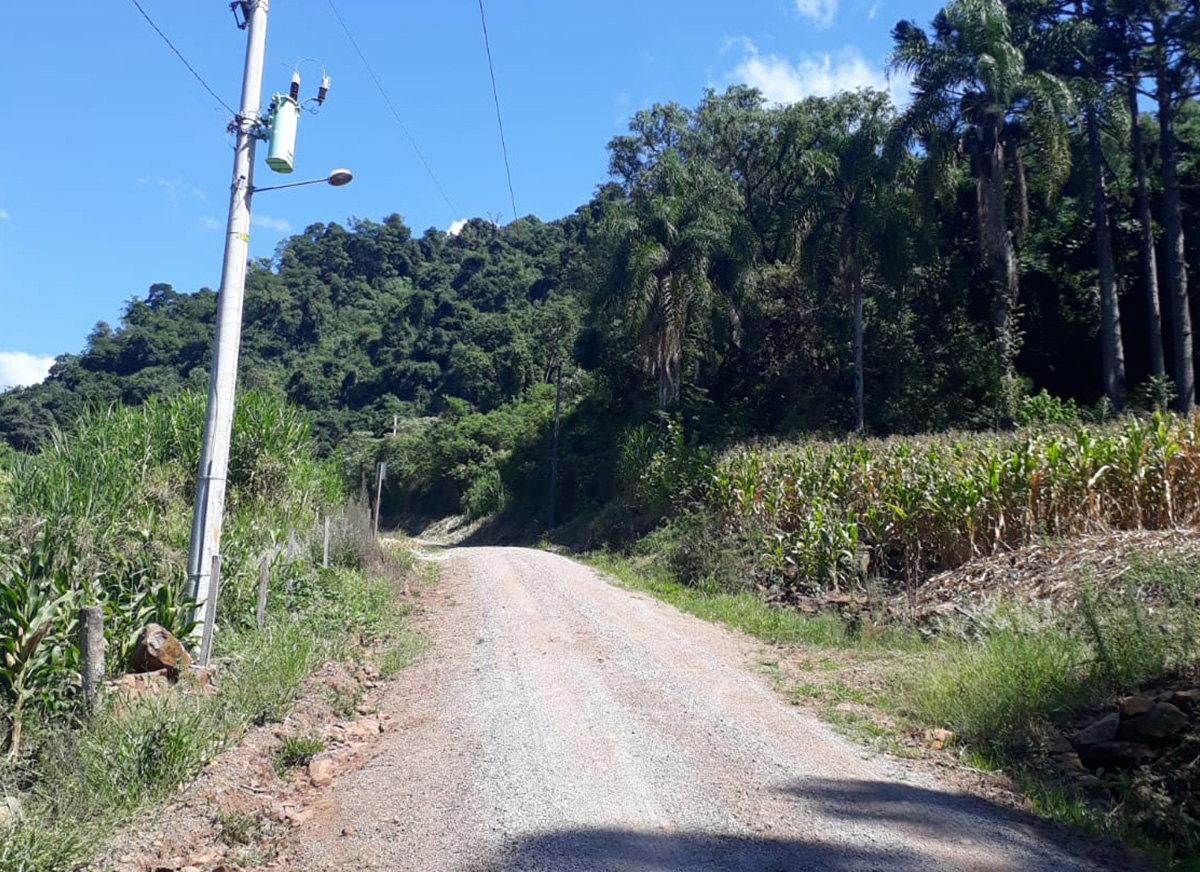 Galeria Caminhada Pinhal Alto