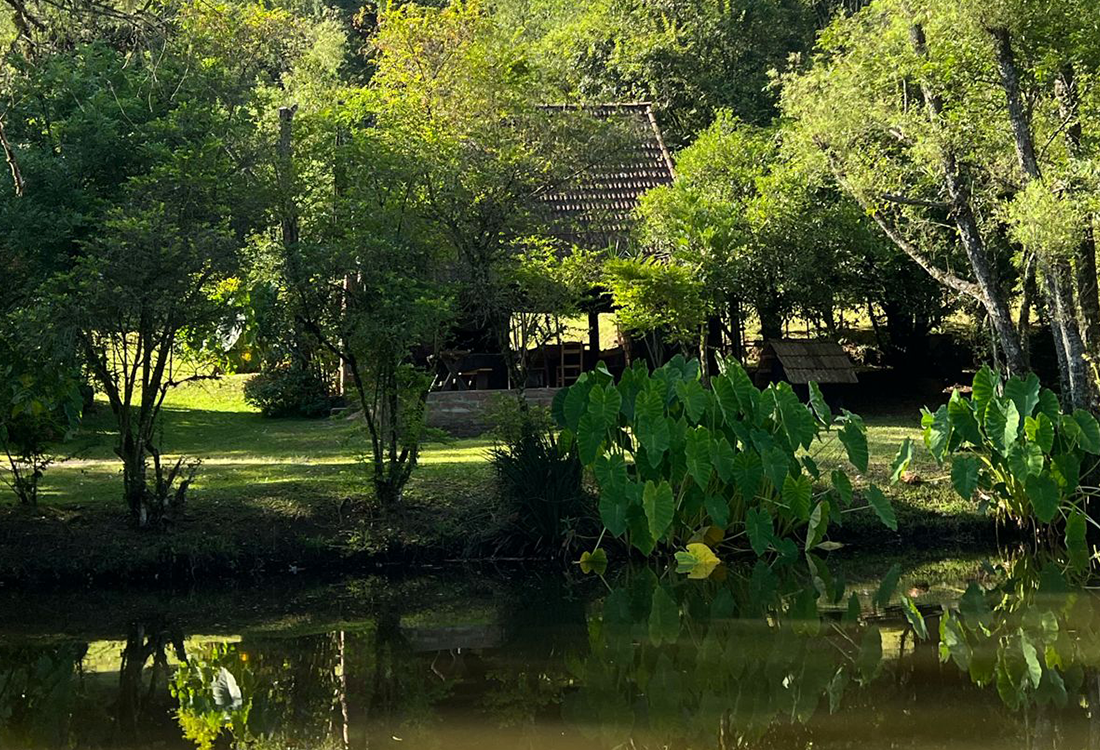 Caminhada Reencontros, Passos e Cachoeira