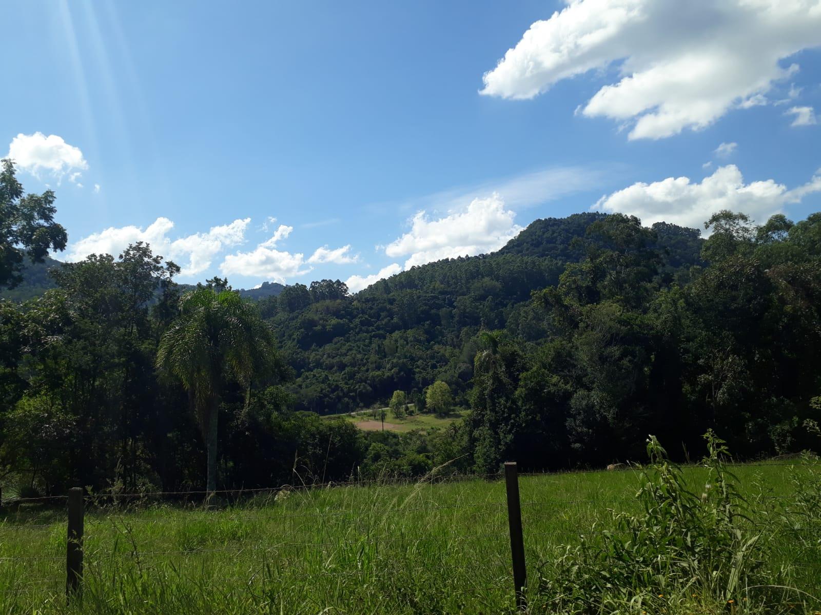 Caminhada Pinhal Alto